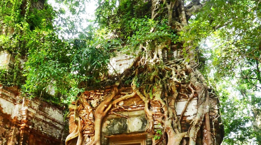 Pram Temple of the Koh Ker group. Quiet spot with excellent strangler tree temple.