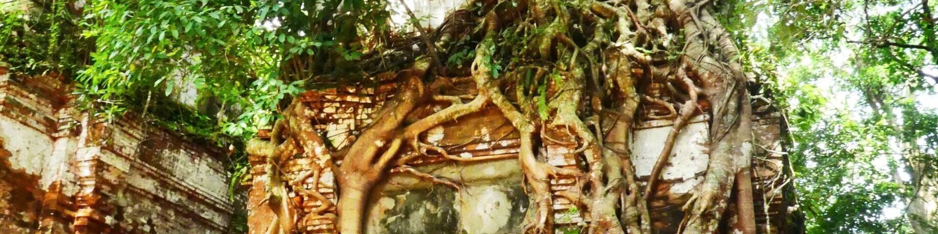 Pram Temple of the Koh Ker group. Quiet spot with excellent strangler tree temple.