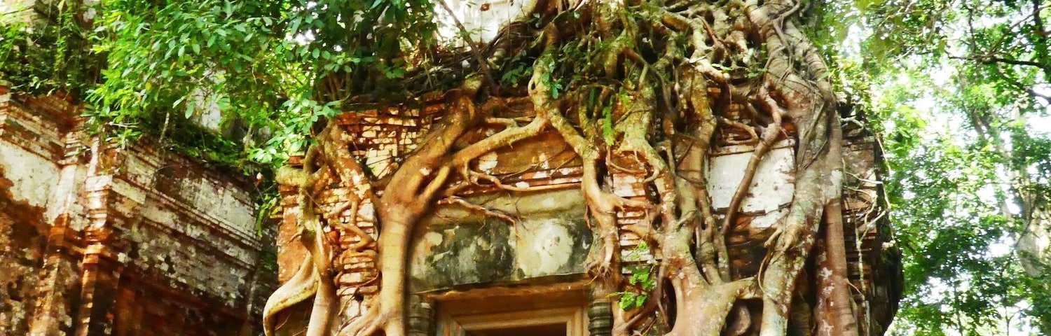 Pram Temple of the Koh Ker group. Quiet spot with excellent strangler tree temple.