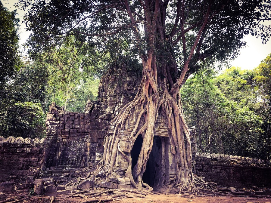 Siem Reap, Cambodia