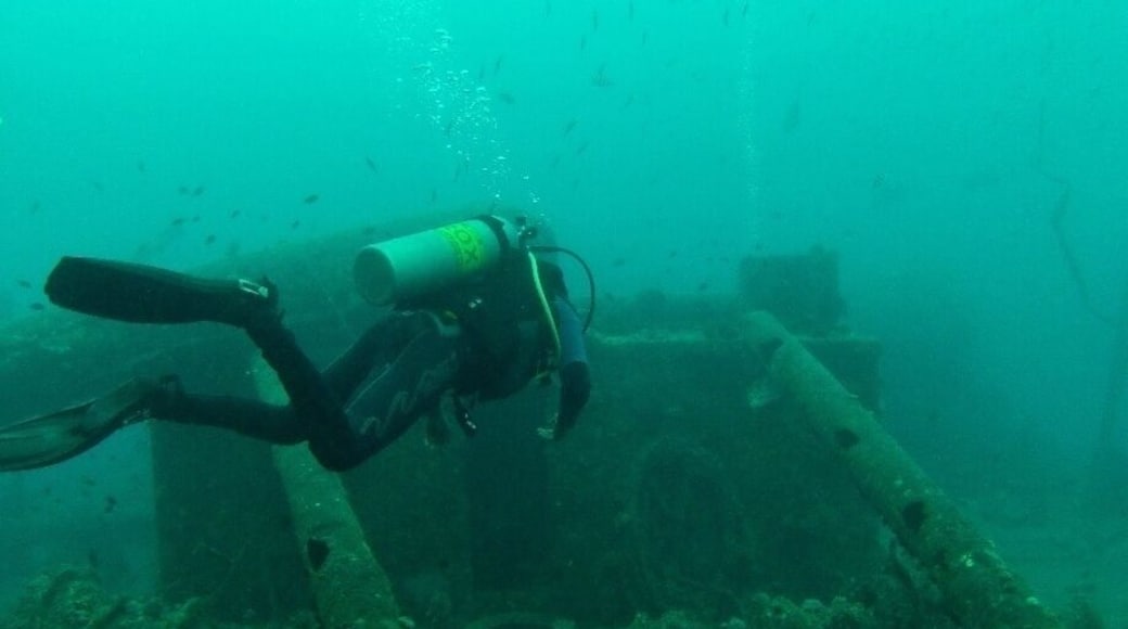 The SS Thistlegorm was a British Naval Ship bombed by the Germans and sunk on 6 October 1941 near Ras Muhammad in the Red Sea and is now considered the top shipwreck diving site in the world!
For about $100 you can take a day trip out of Dahab to Sharm where you bored a lovely boat and cruise out to the site (about another 2 hours), breakfast and lunch are provided and both are quite tasty. The sites are lovely on the way and if you're luck you'll see dolphins!
You take 2 dives at Thistlegorm, 1 outside the ship and the other inside!!! AMAZING!
You finish the day with a drift dive from Yolanda to Shark Reef, where there is another ship wreck that was carrying toilets. It's pretty funny.