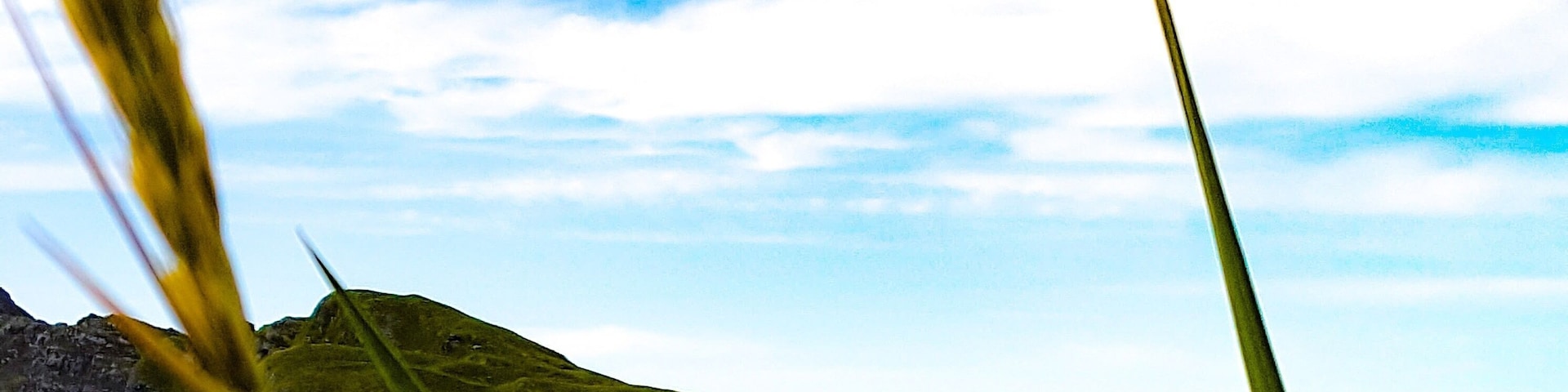 Amazing place! Highly recommended.