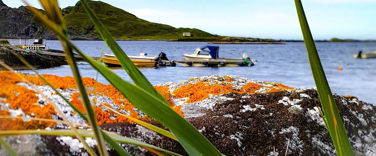 A coastal scene with boats, a rocky shore, and a hill in the background.