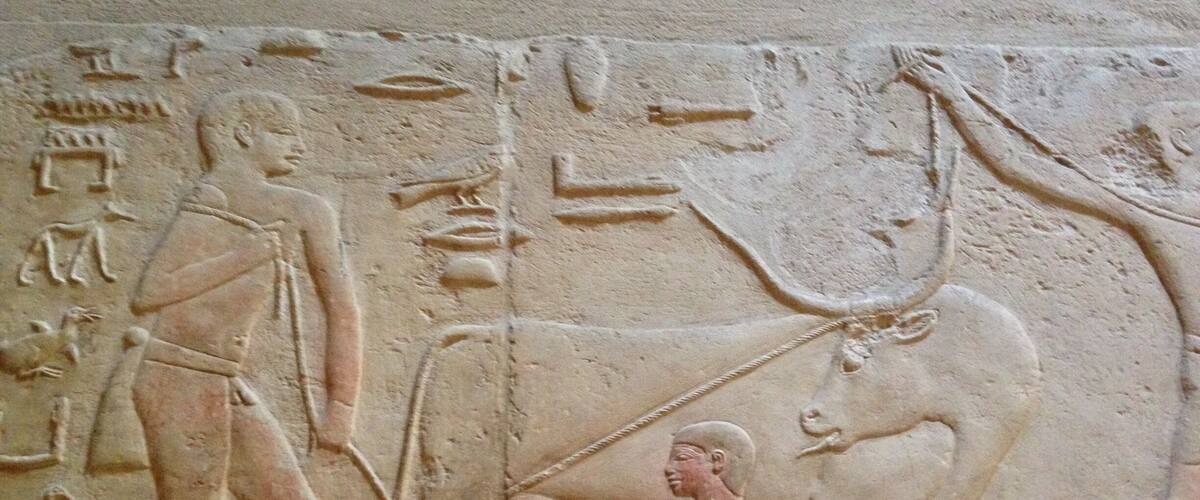The unique paintings in the Tomb of Mereruka, Saqqara, Egypt (18th October 2016) #InStone