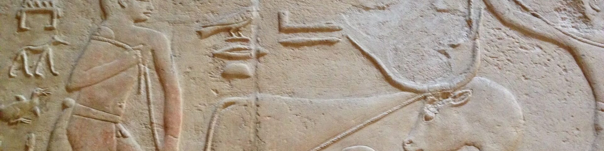 The unique paintings in the Tomb of Mereruka, Saqqara, Egypt (18th October 2016) #InStone