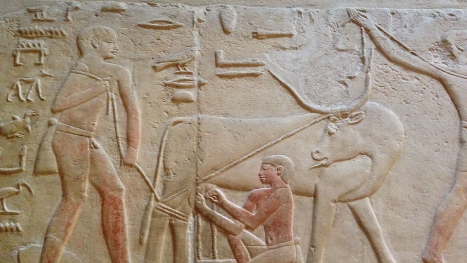 The unique paintings in the Tomb of Mereruka, Saqqara, Egypt (18th October 2016) #InStone