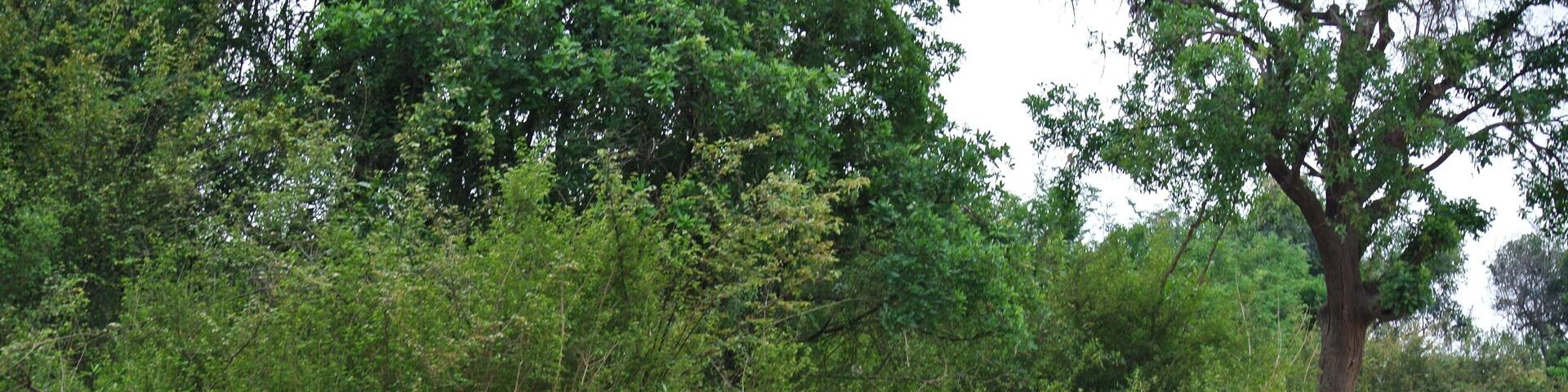 Fishing time or bath time on the Tonle Sap #fishing #bathing #river #siemreap #cambodia