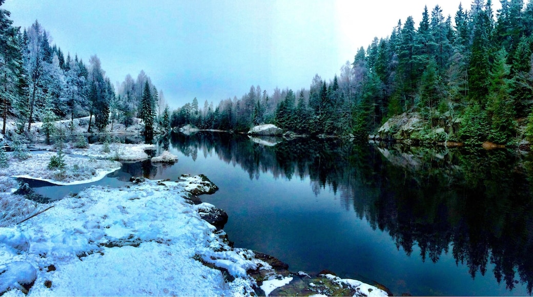 A small lake called Åmotdammen.