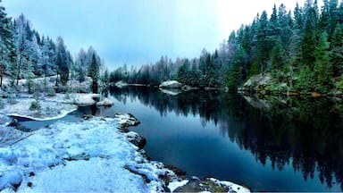 A small lake called Ă
motdammen.