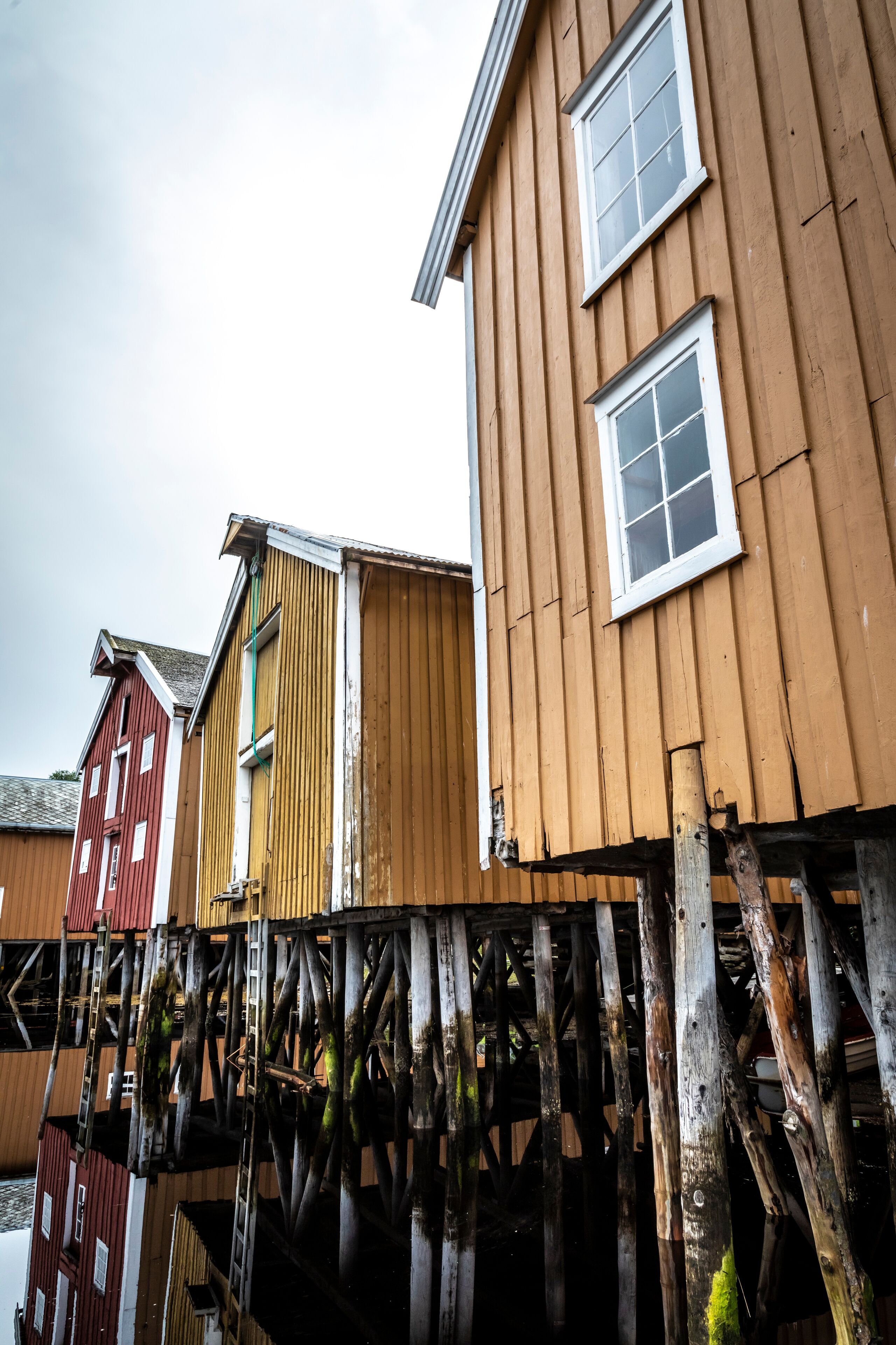 cottage (rorbuer) in Rakvag (Råkvåg or Råkvågen). It is a village in the municipality of Indre Fosen in Trondelag county