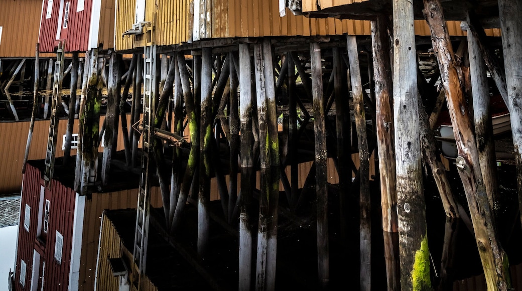 cottage (rorbuer) in Rakvag (Råkvåg or Råkvågen). It is a village in the municipality of Indre Fosen in Trondelag county