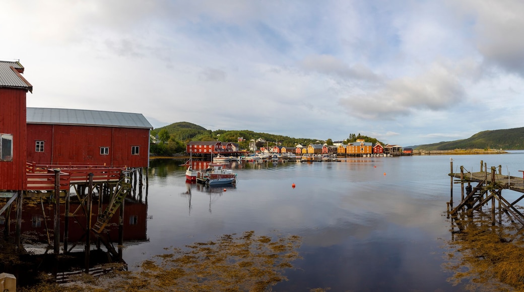 Panorama with Cottage in Rakvag (Råkvåg or Råkvågen). It is a village in the municipality of Indre Fosen in Trondelag county