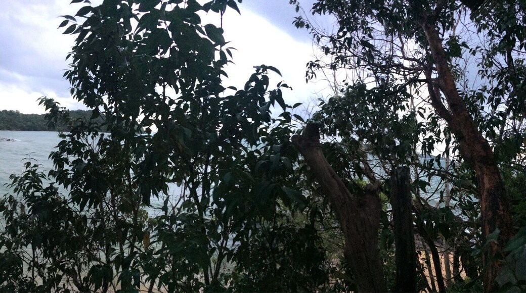 View from my tree house
@ Koh ta kiev island