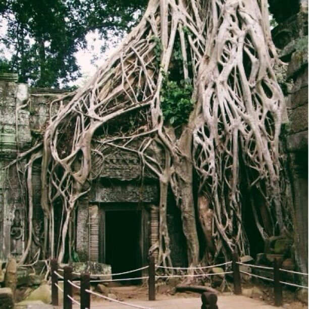 Another incredible Angkor temple, with crazy huge tree roots throughout. Definitely check it out!