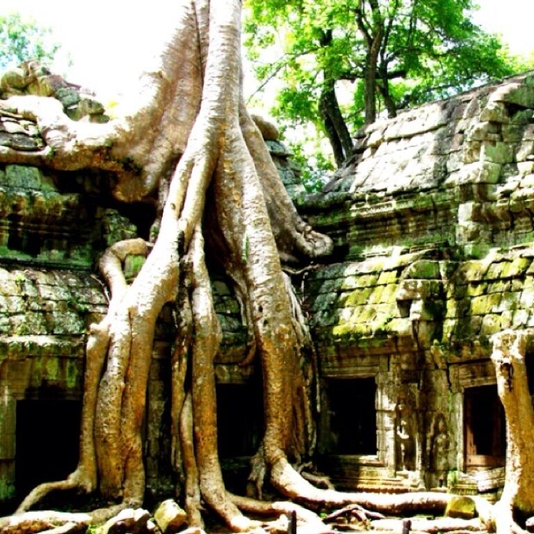 This is where the movie Tomb Raider was filmed. Went here last 2010 and it is truly an amazing place to visit. #Cambodia