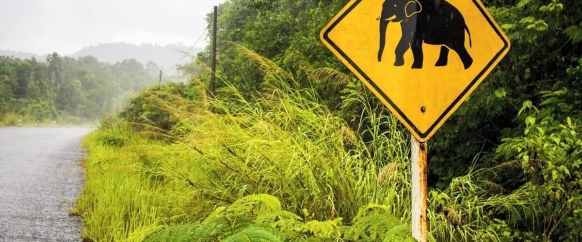 A road sign warning of elephants.