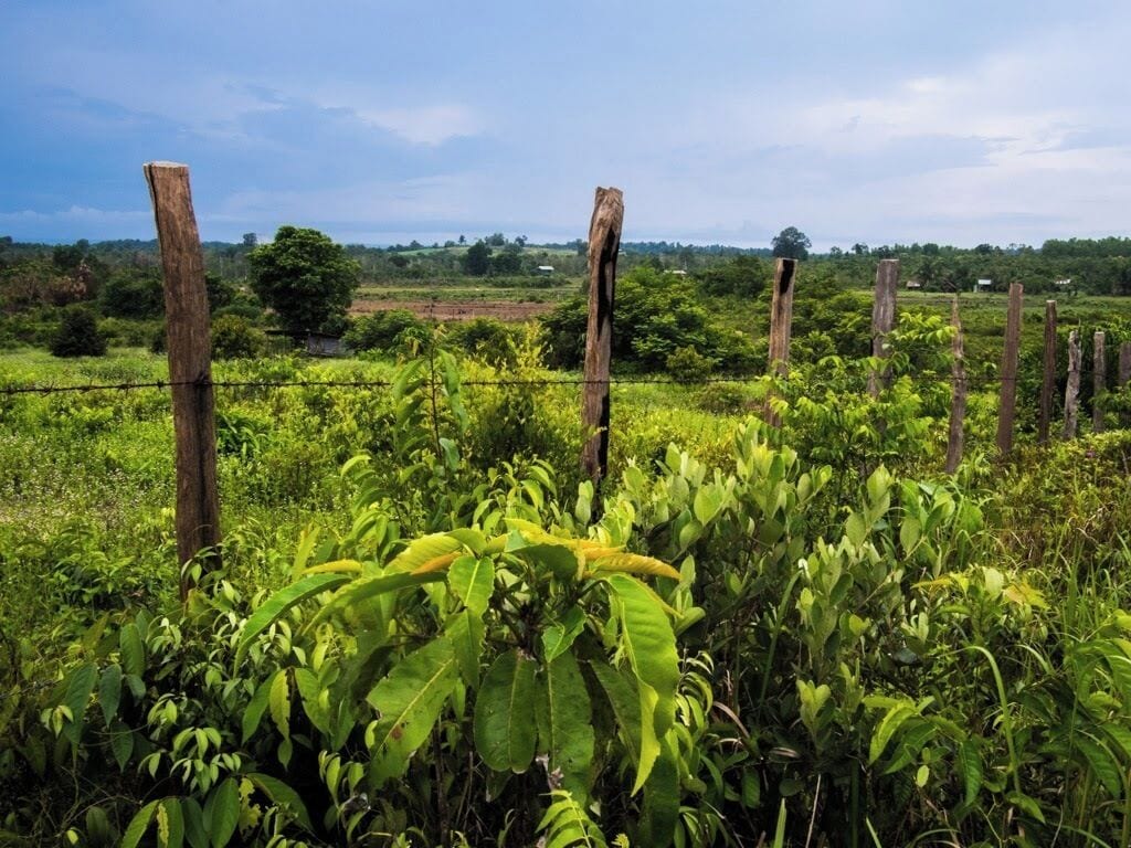 It might be a little hard to get to, but an adventure in the Cardamom Mountains in the south-east corner of Cambodia should not be missed. If you want to spend time off-the-beaten track, trekking, boating, or biking through the jungle, this is the place to go.