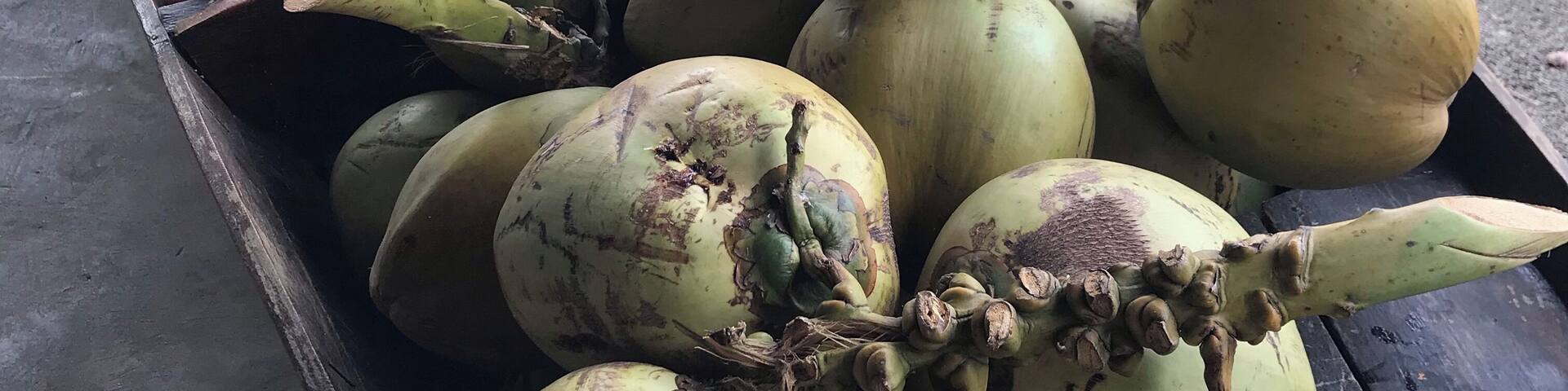 The roadside service station at Kampong Svay Cambodia has a great selection of fresh fruit for your onward journey #trovember