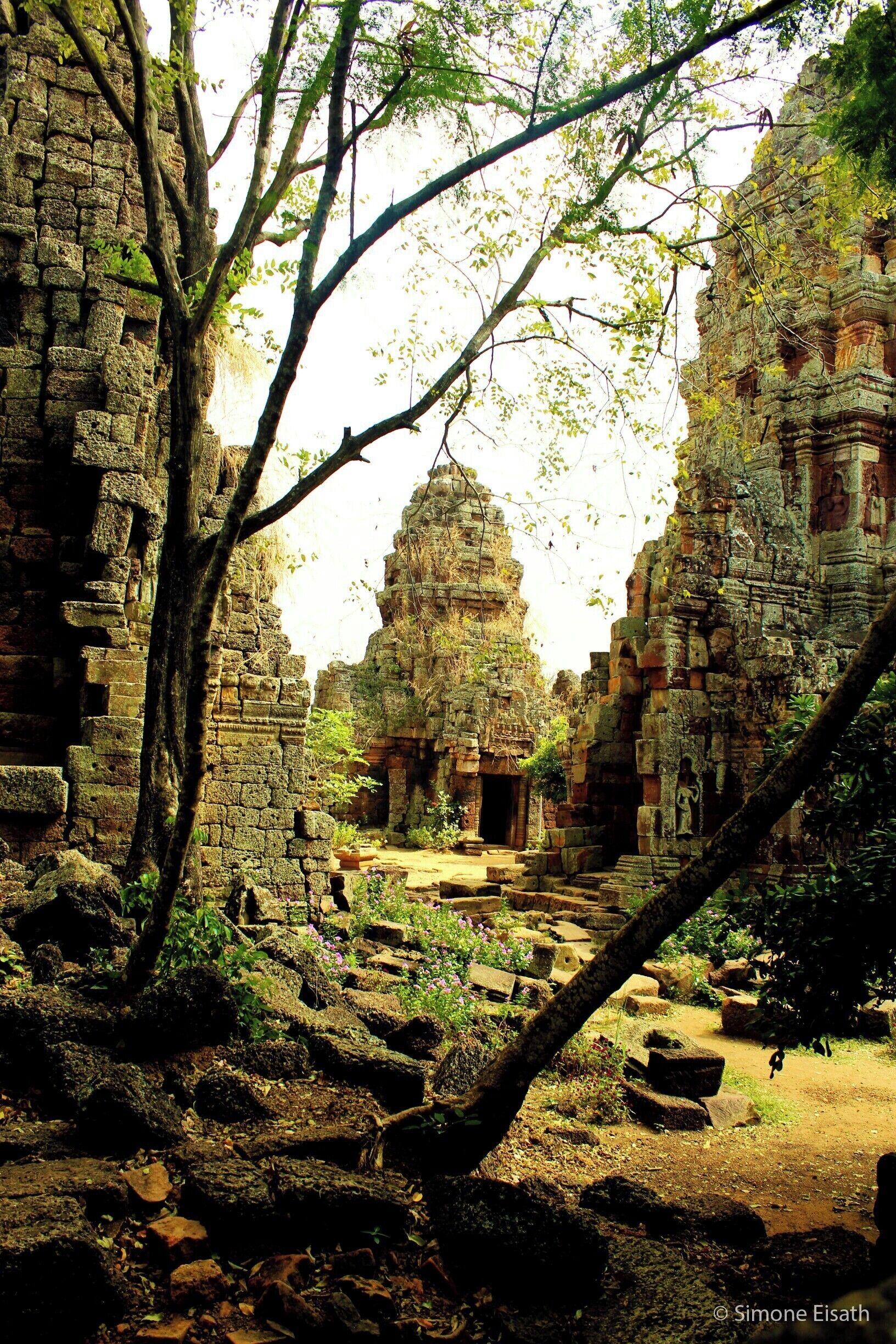 An ancient stone temple surrounded by trees and overgrown vegetation.