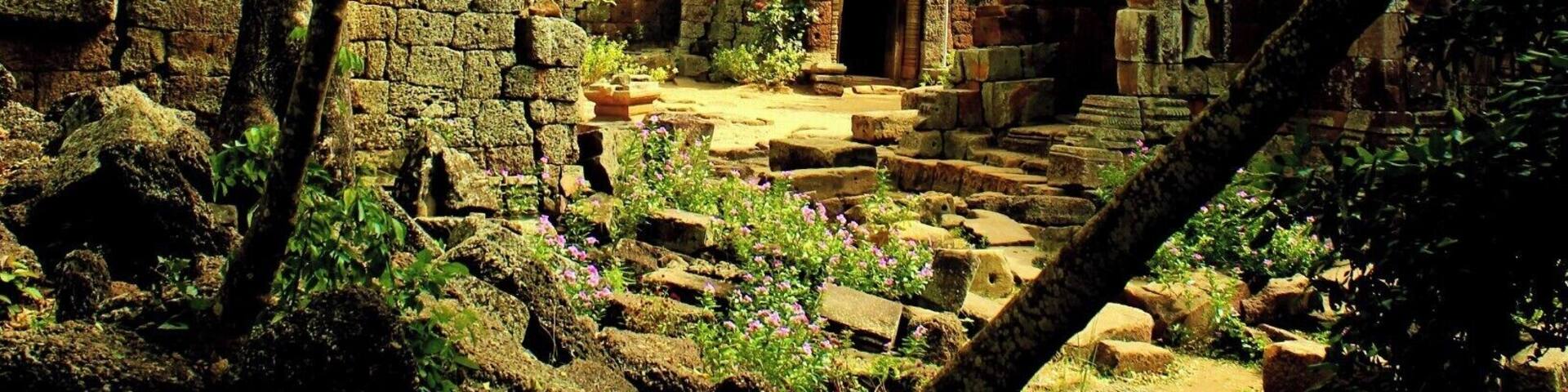 An ancient stone temple surrounded by trees and overgrown vegetation.