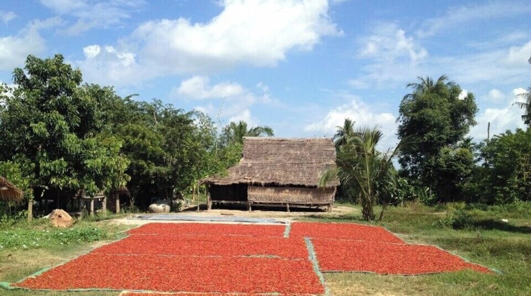 Red hot chili peppers