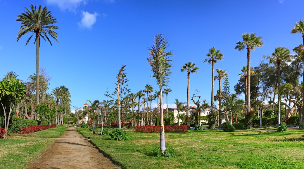 อัล-มุนตะซะฮ์