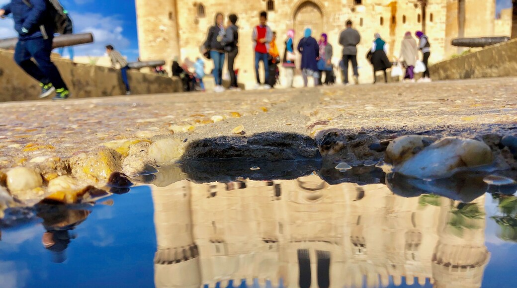 Citadel in Alexandria