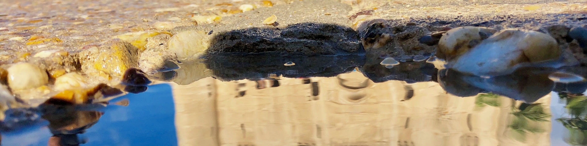 Citadel in Alexandria