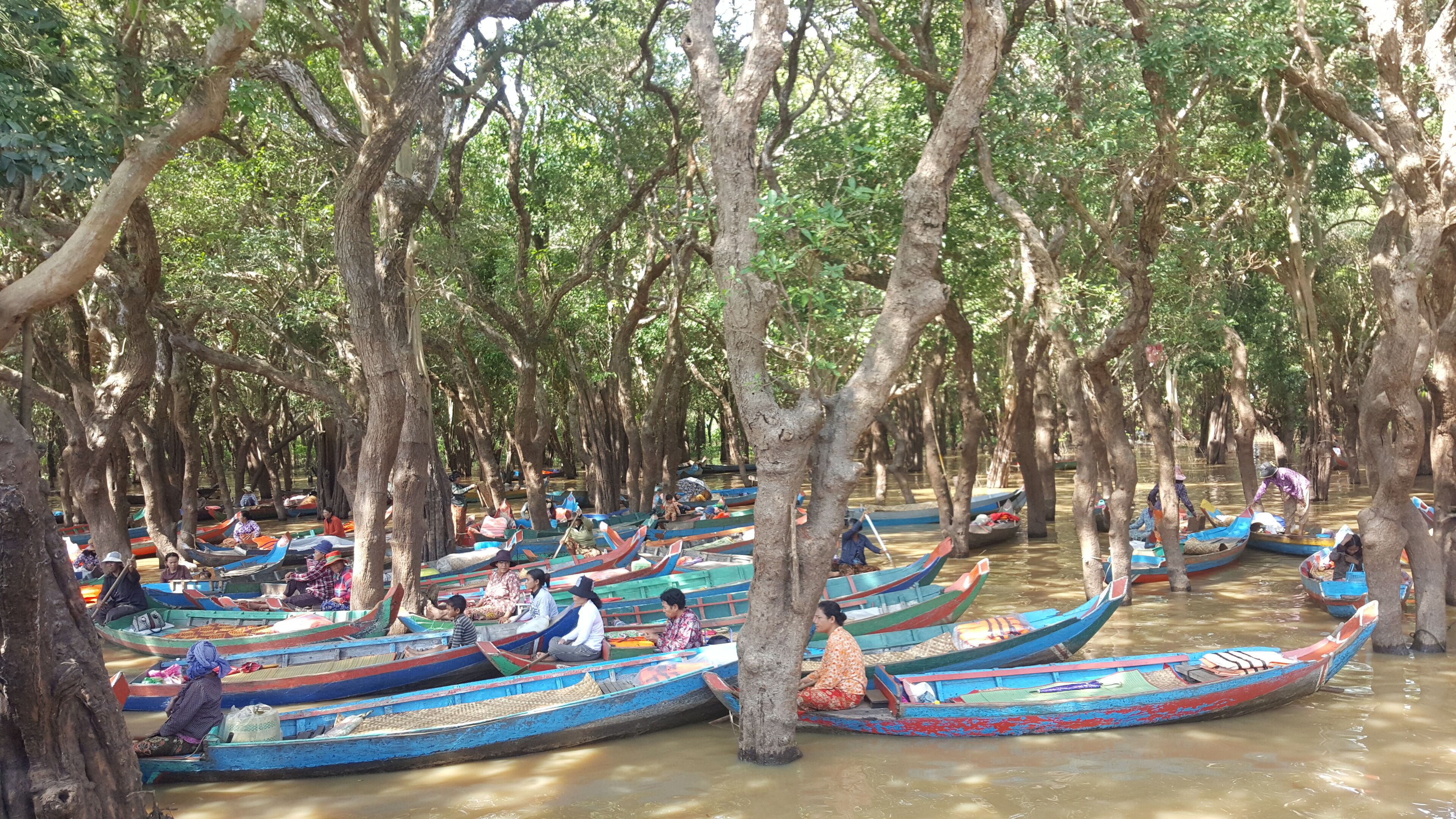 A river with numerous colorful boats docked under tall trees.