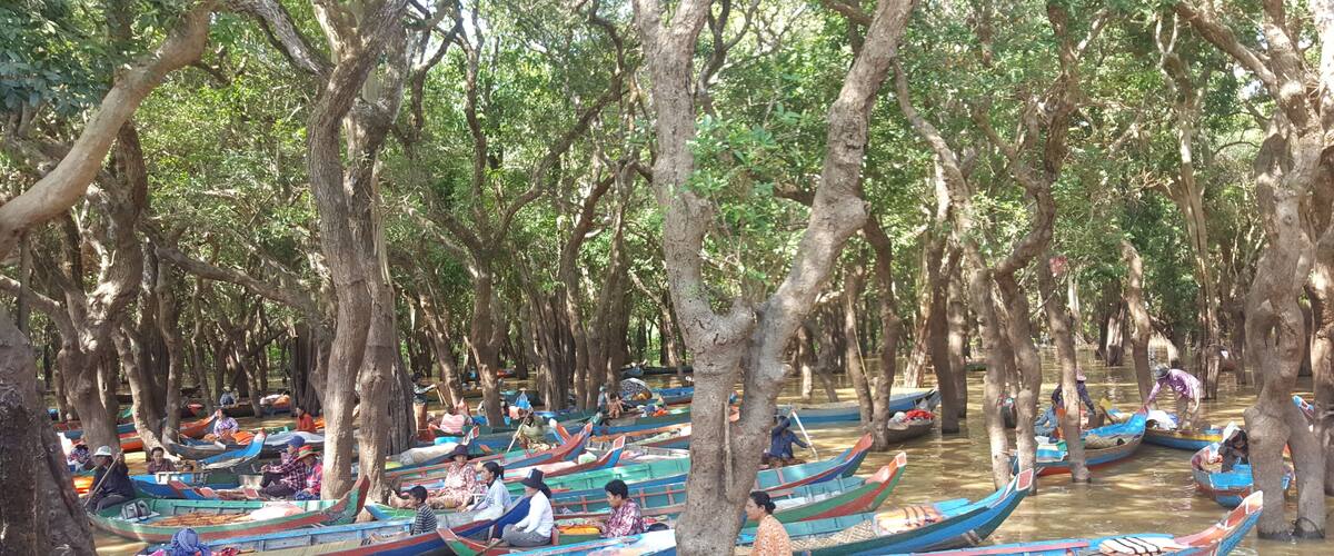A river with numerous colorful boats docked under tall trees.