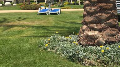 Where is heaven is there 👻