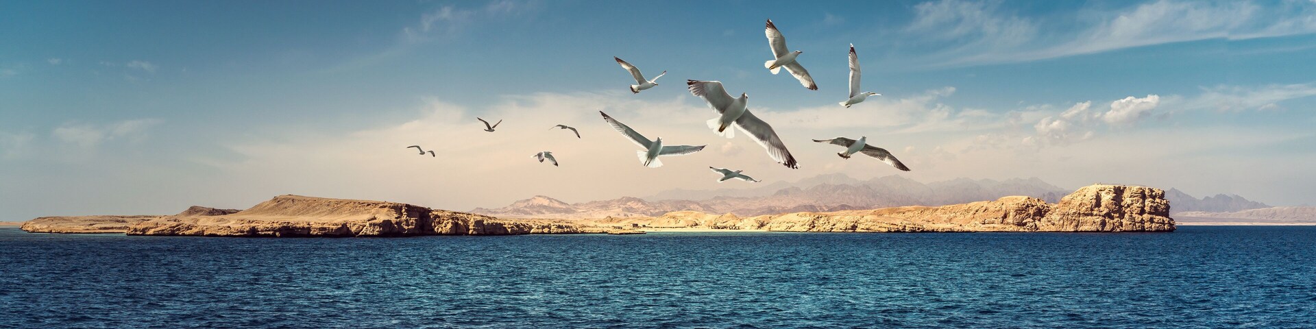 Panorama of the Ras Mohamed National Park - nature reserve and famous coral reefs on Red Sea. Rock 'Birds Observatory' and flying seagulls over the coast the Gulf of Suez on Sinai Peninsula, Egypt.