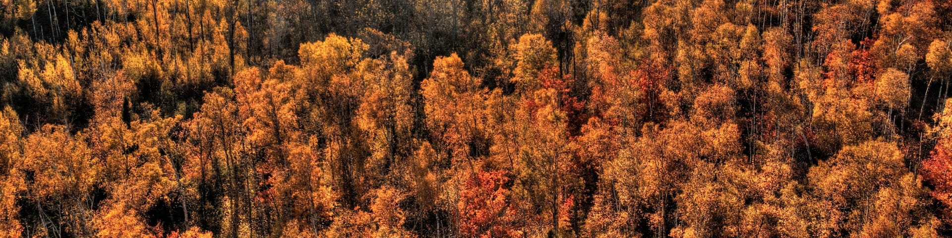 Autumn at Carlton Peak of the Sawtooth Mountains in Northern Minnesota on the North Shore of Lake Superior