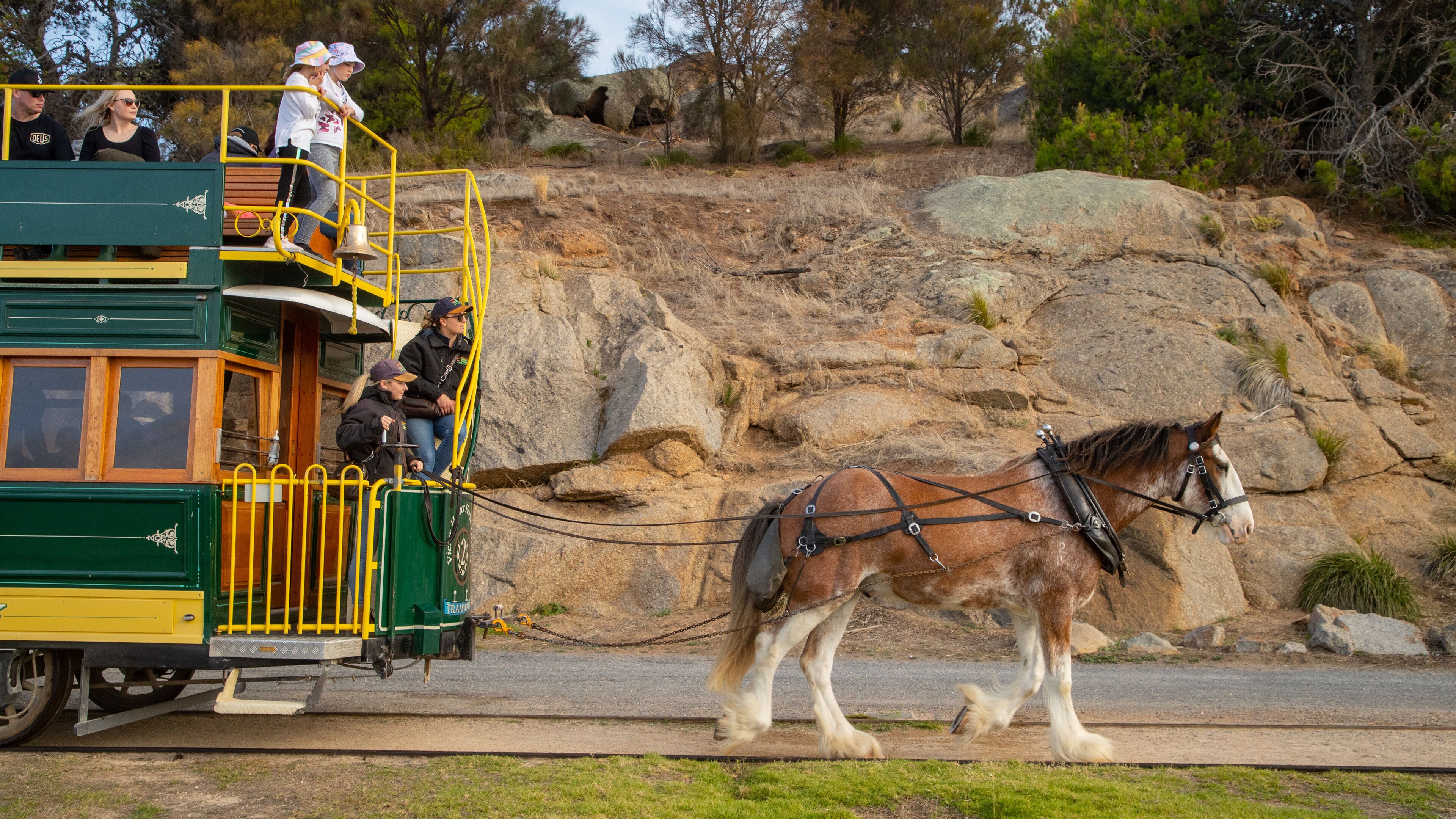 Victor Harbor Horse Drawn Tram showing land animals, railway items and heritage elements