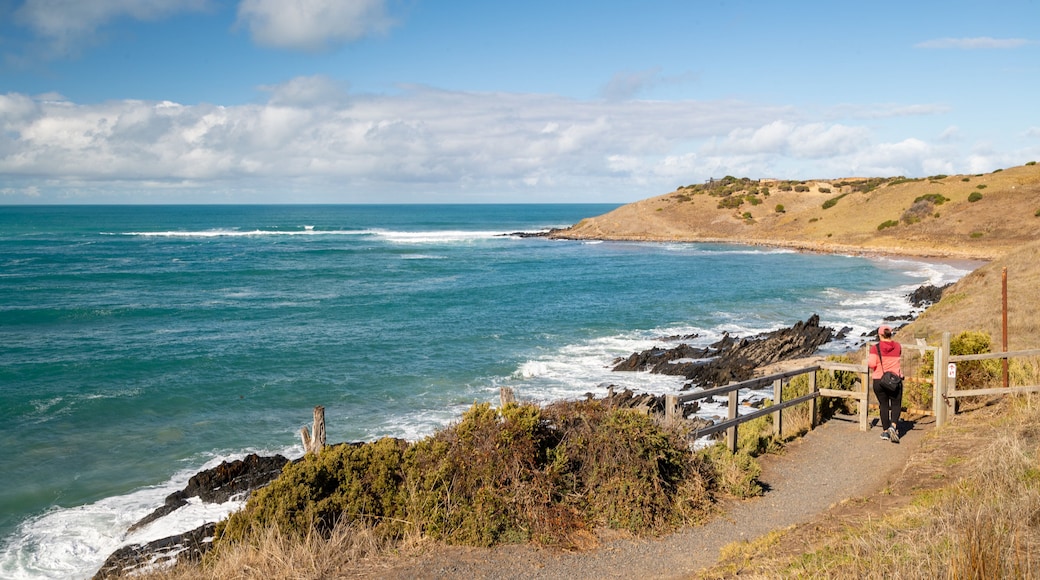 Victor Harbor Heritage Trail: Petrel Cove Trailhead showing general coastal views