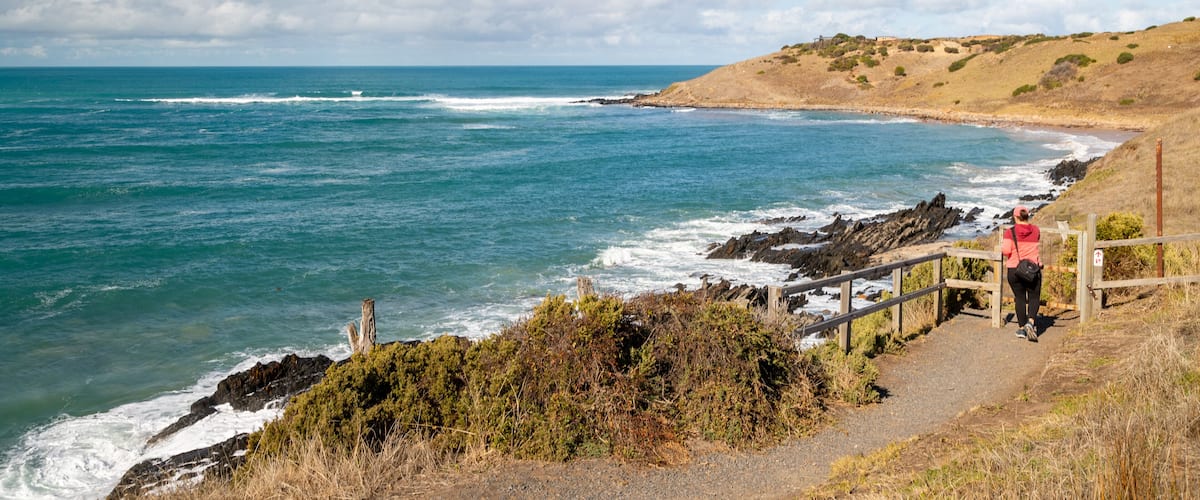 Victor Harbor Heritage Trail: Petrel Cove Trailhead showing general coastal views