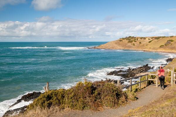 Victor Harbor Heritage Trail: Petrel Cove Trailhead showing general coastal views