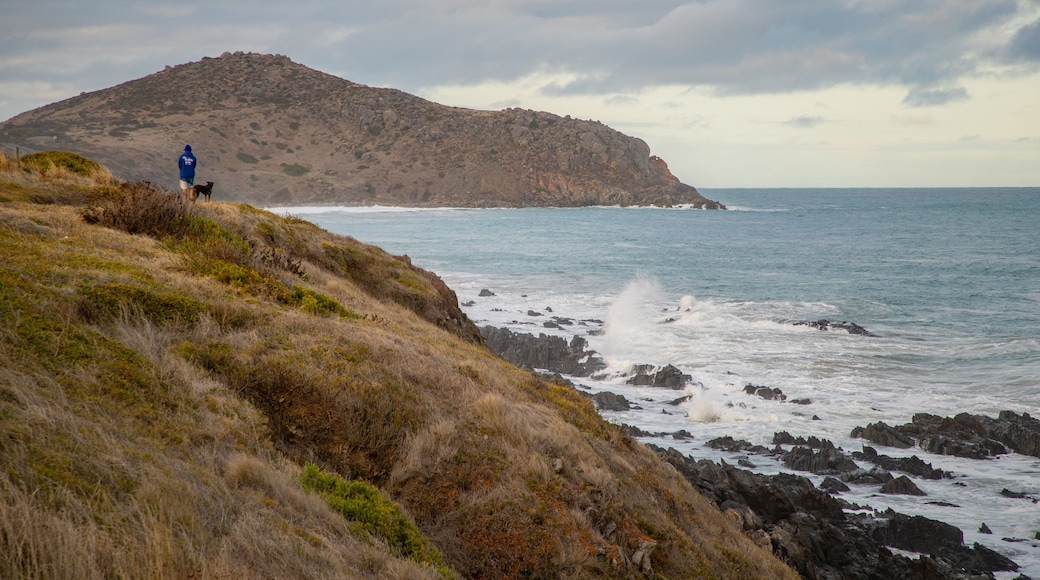 Victor Harbor Heritage Trail: Petrel Cove Trailhead which includes general coastal views and rocky coastline