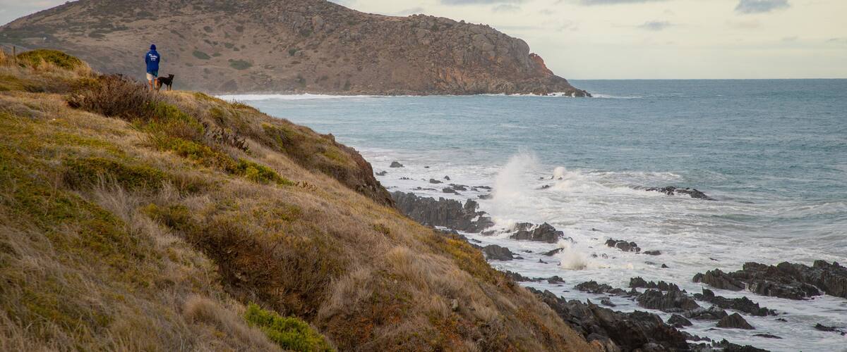 Victor Harbor Heritage Trail: Petrel Cove Trailhead which includes general coastal views and rocky coastline