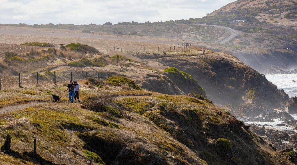 Victor Harbor Heritage Trail: Petrel Cove Trailhead featuring cuddly or friendly animals, hiking or walking and rocky coastline