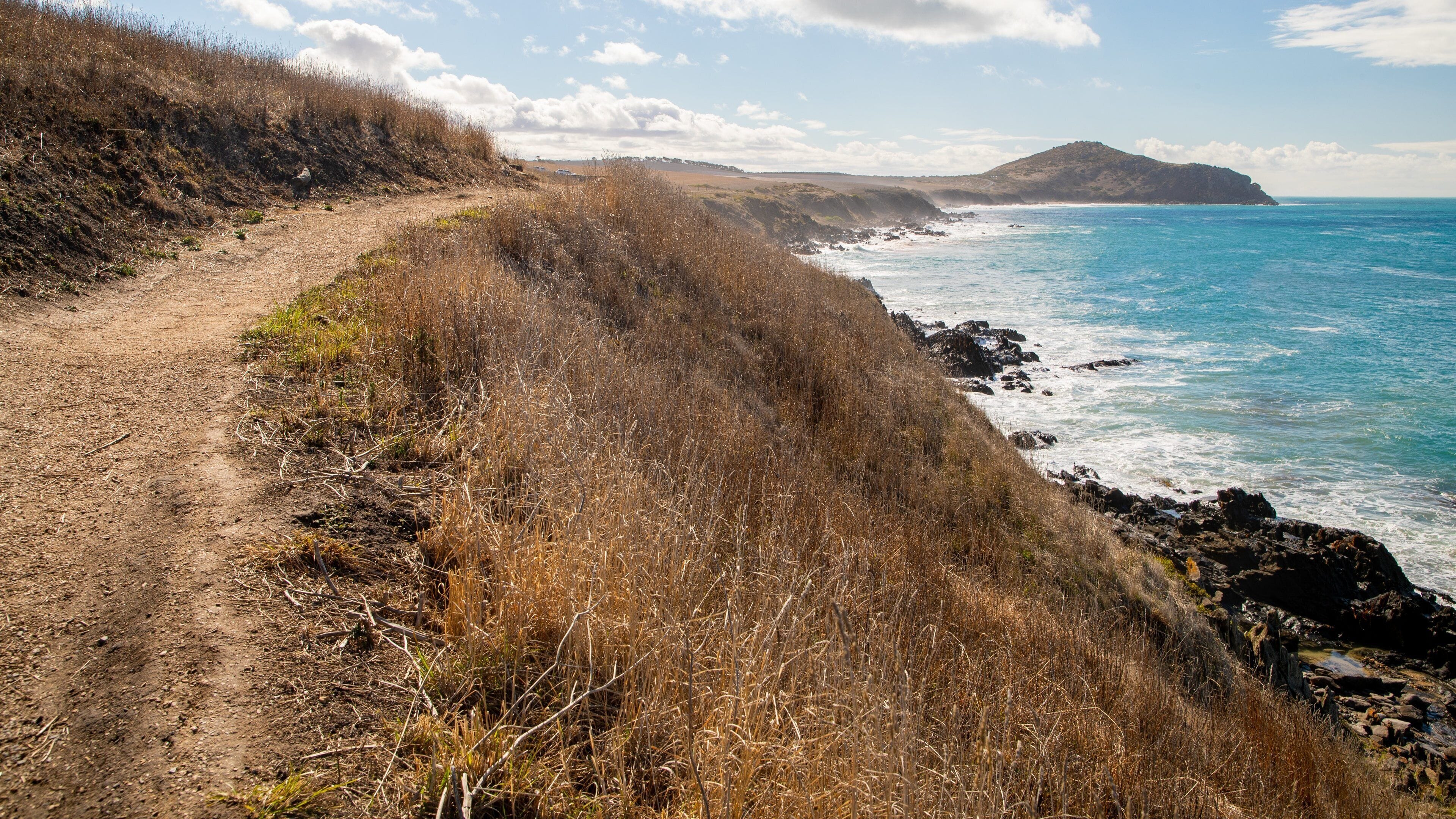 Victor Harbor Heritage Trail: Petrel Cove Trailhead featuring rugged coastline and general coastal views