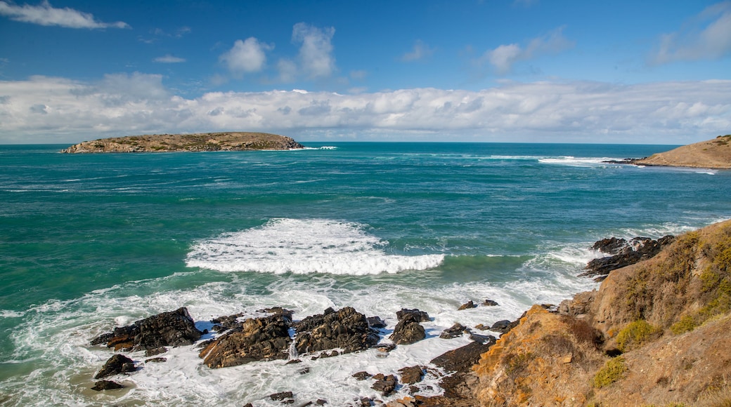 Victor Harbor Heritage Trail: Petrel Cove Trailhead featuring island images, rocky coastline and general coastal views