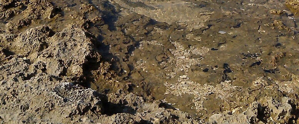 屏東縣恆春鎮 悠活渡假村 炙熱的珊瑚礁海岸