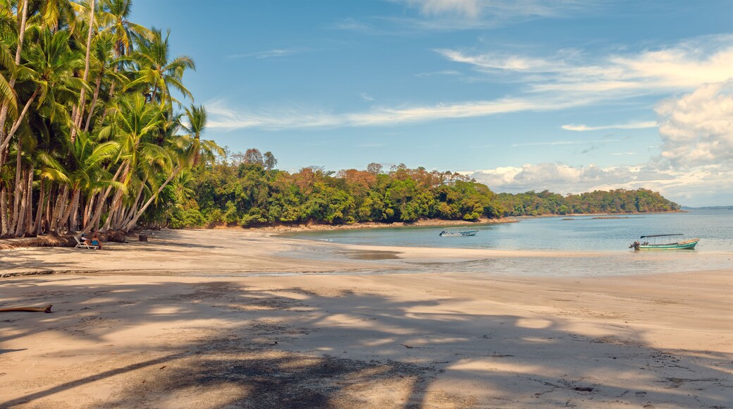 Isla Parida Boca Chica, Chiriqui, province, Panama