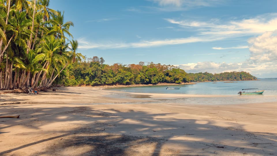 A beach with palm trees, a sandy shore, and two boats in the water.