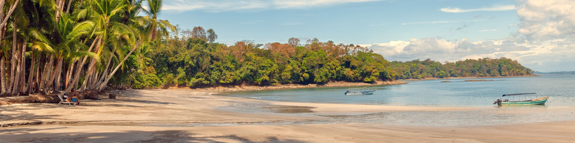 Una playa con palmeras, una orilla arenosa y dos barcos en el agua.