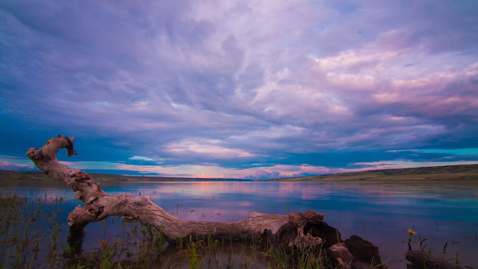 A fallen tree in a calm lake with a colorful sky.