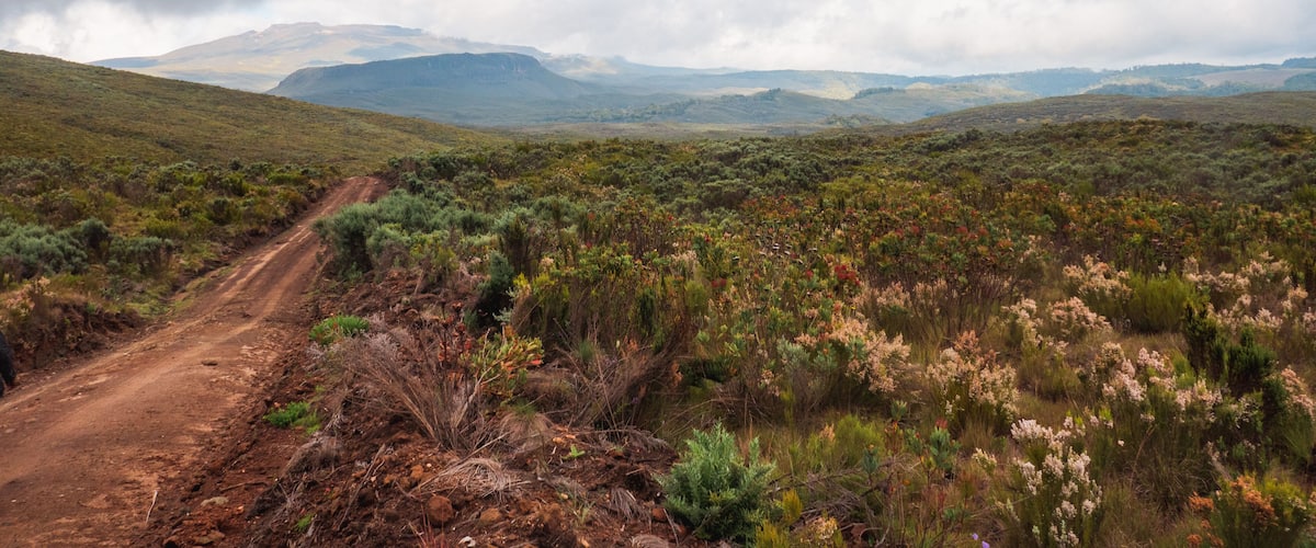 A dirt road winding through a hilly landscape with sparse vegetation and distant mountains under a cloudy sky.