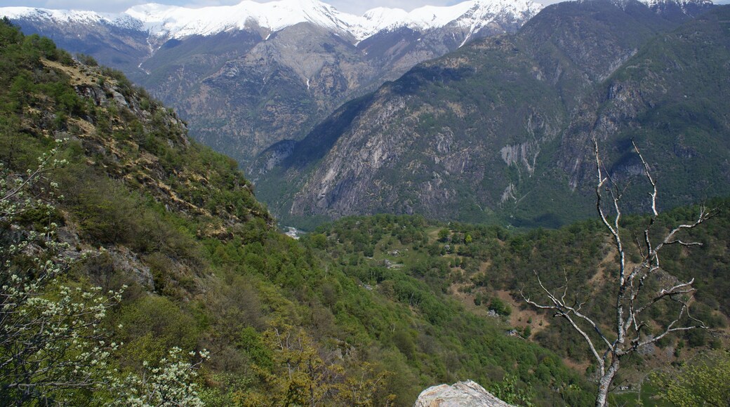 Blick vom Salmone nach Norden.