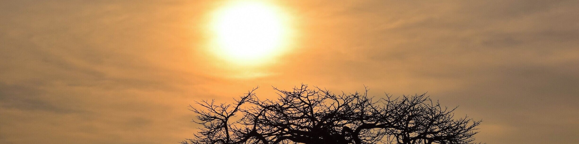 Ruaha National Park is one of the top safari spots in the world. It's in Central/Southern Tanzania, near Iringa, and isn't overrun with tourists. I self drove and was able to hire a guide for only $23 for two days. Excellent experience. There are a few cottages in the park where you can stay overnight for $50.